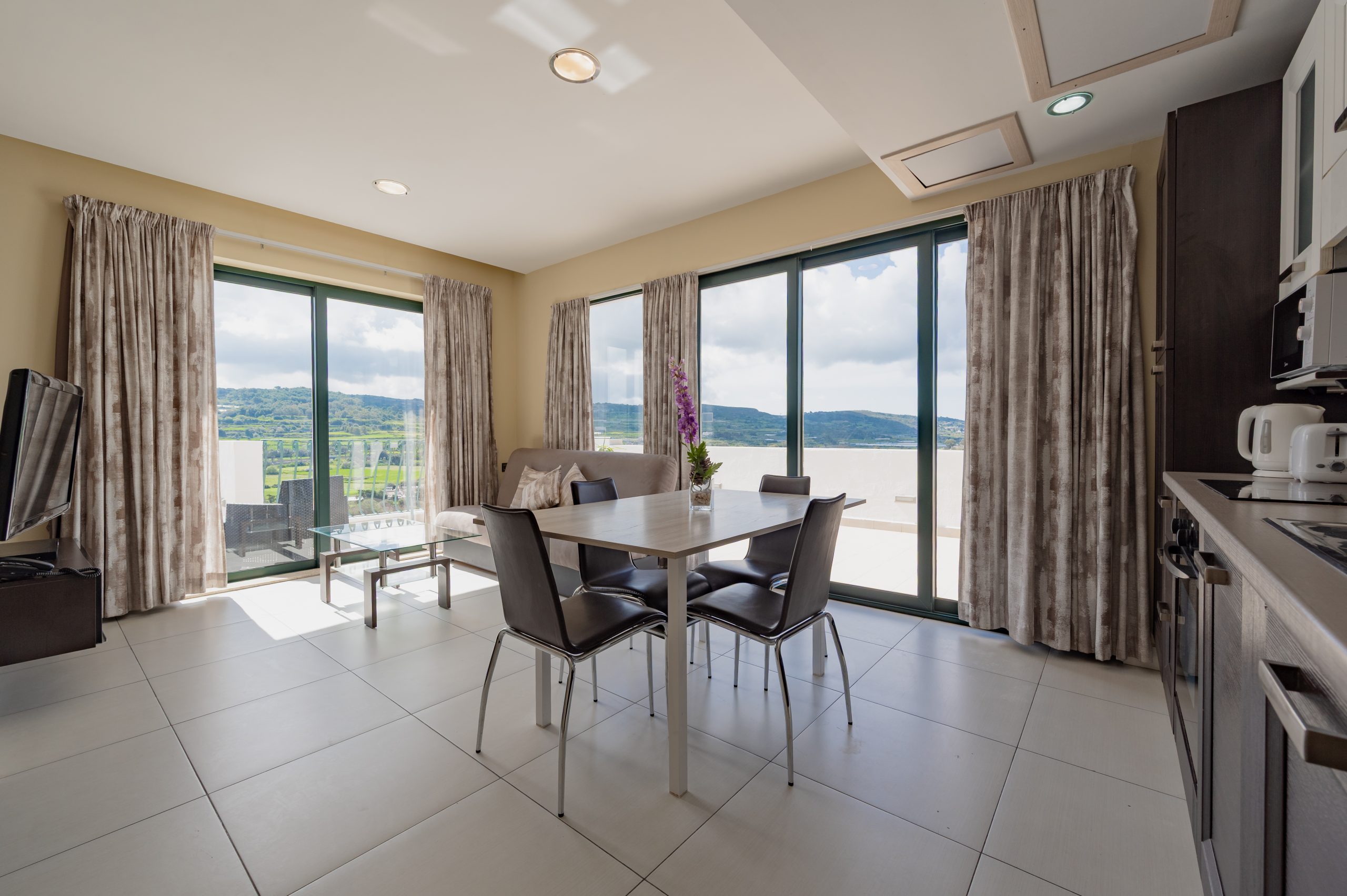 Penthouse Suite amenities including lounge area and TV